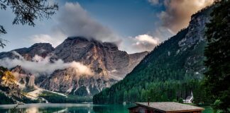 Ile procent mięsa ma wiejska zagroda?