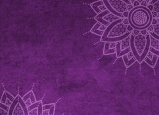 Ile wynosi mandat za ugryzienie psa?