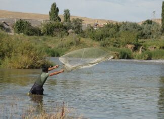 Jak zmierzyć siatkę na balkon?
