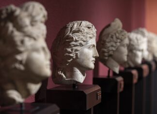 Jak poprawić jakość wody w akwarium?