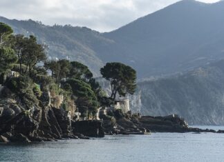 Ile kosztuje sum domowy?