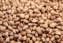 Czy w chipsach Lays jest gluten?