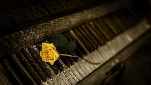 Jaki organ budzi o 4? Jaki organ budzi o 4?