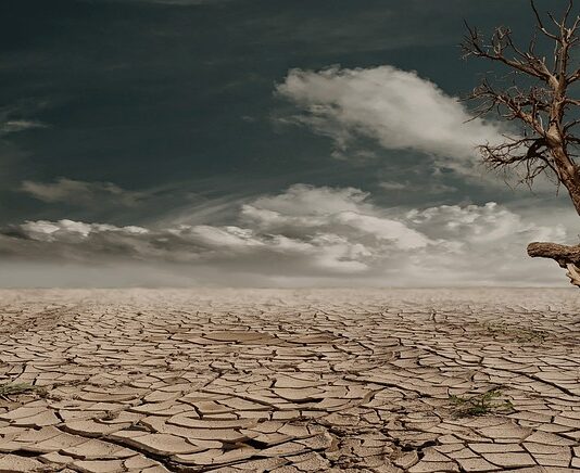 Co można dodawać do suchej karmy?