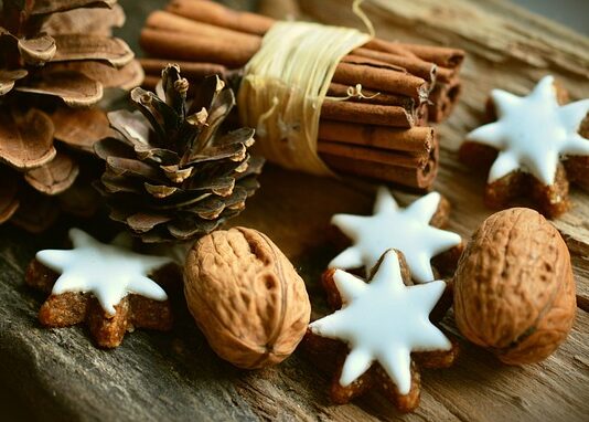 Dlaczego warto podawać psu przysmaki?