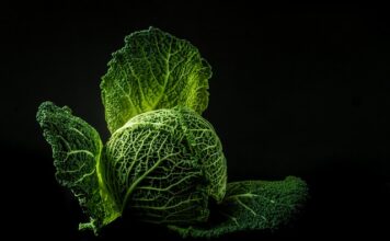 Jakie przyprawy do kapusty z pomidorami? Jakie przyprawy do kapusty z pomidorami?
