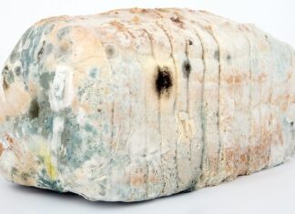 Jak dezynfekować akwarium?