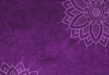 Czy można dostać mandat za szczekanie psa?