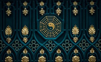 Jaka tania karma dla kota?