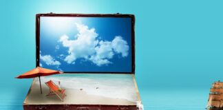 Ile kosztuje montaż siatki dla kota?