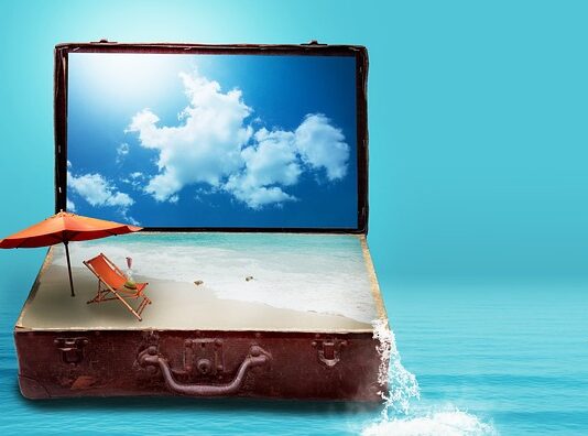 Ile kosztuje montaż siatki dla kota?