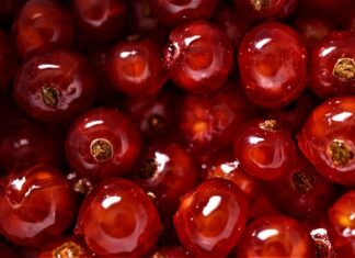 Jak smakuje ser smażony?