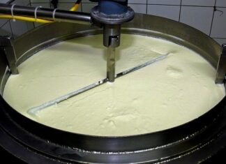Czy jedzenie jogurtów codziennie jest zdrowe?