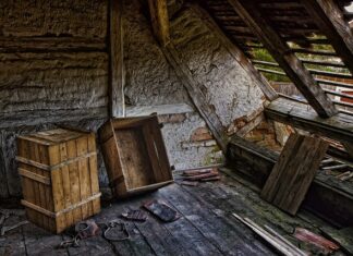 Czym wypełnić skrzynki na warzywa?