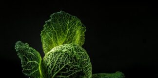 Co dodać do kapusty zasmażanej?