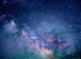 Ile kosztuje badanie z krwi na nietolerancję glutenu?