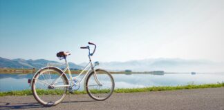 Jak wybrać idealny rower trailowy